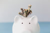 Fundamentals of Annuities (BYO CE Package)