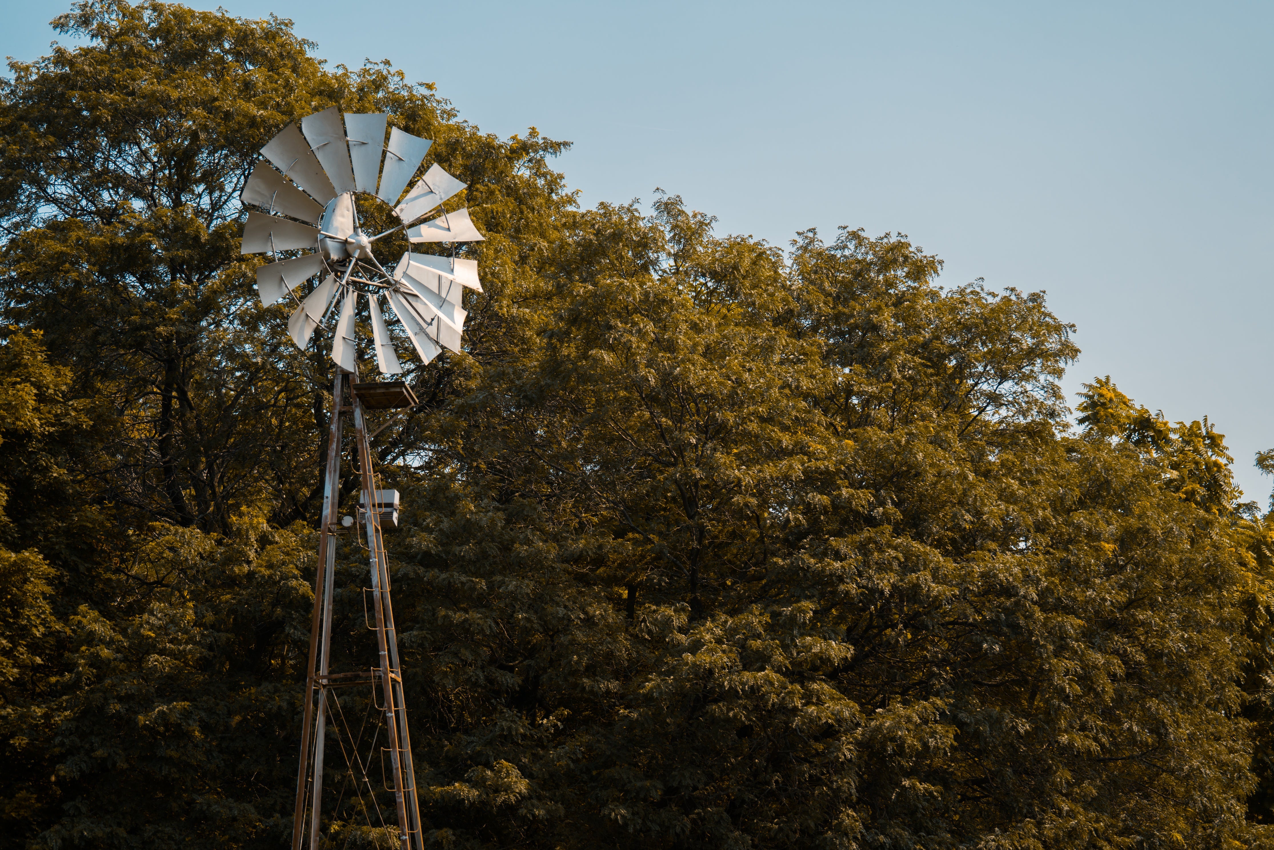 WEBINAR: Fundamentals of Farm & Crop Insurance 10-8-2026