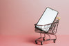 WEBINAR: Issues in E-Commerce Liability 11-12-2025